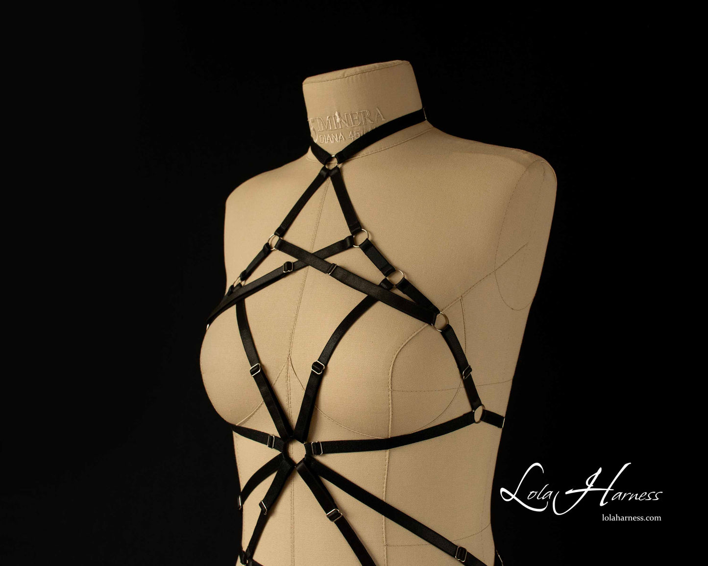 Close-up of black choker harness bodysuit chest part with silver rings.