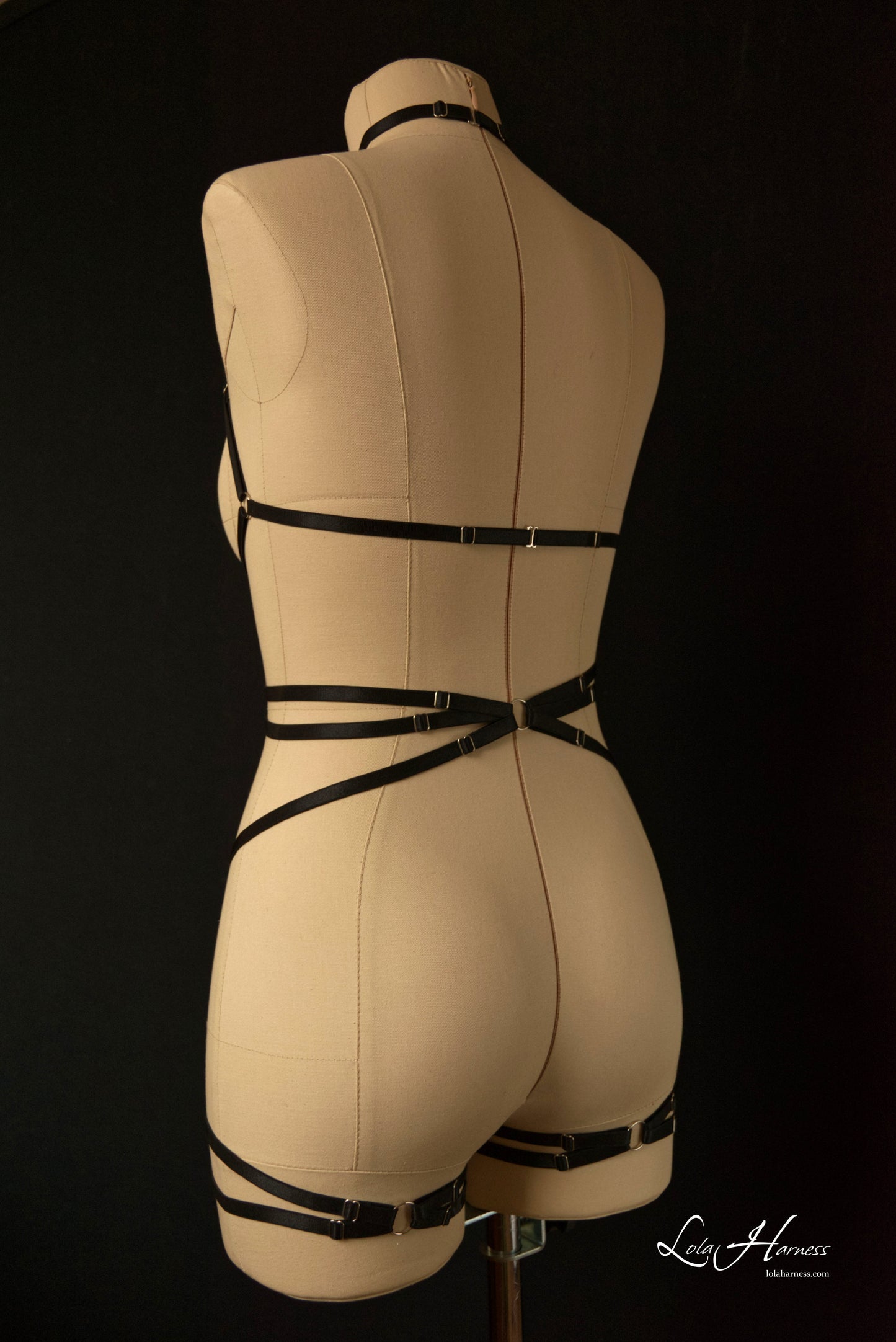 Back view of a black adjustable harness bodysuit, focusing on the structured straps and secure fit.