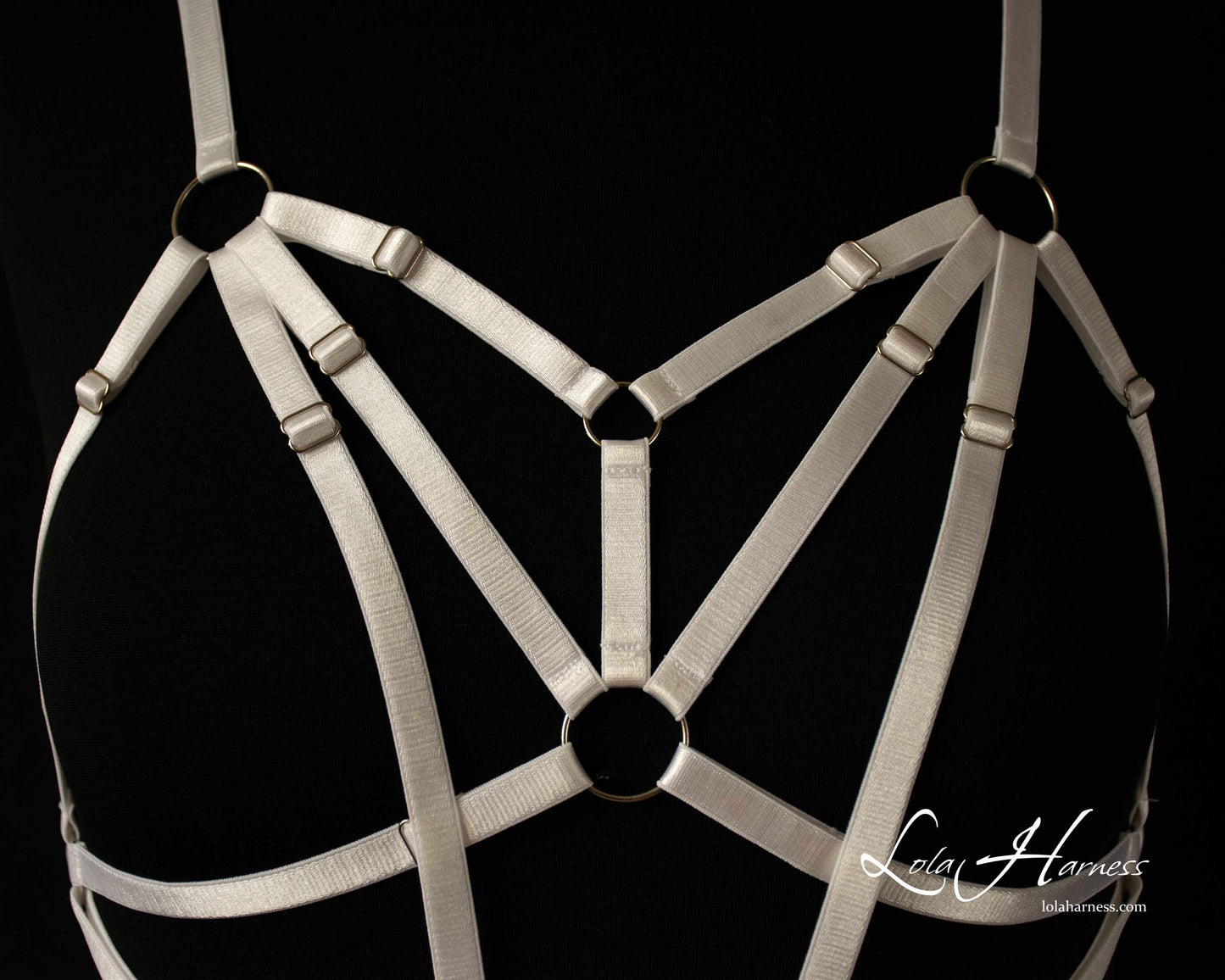 Close-up of the Suzie Harness Bodysuit chest area, showcasing the intricate strap details and transparent design.