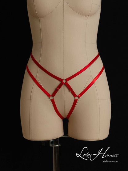 The Lexa harness panties