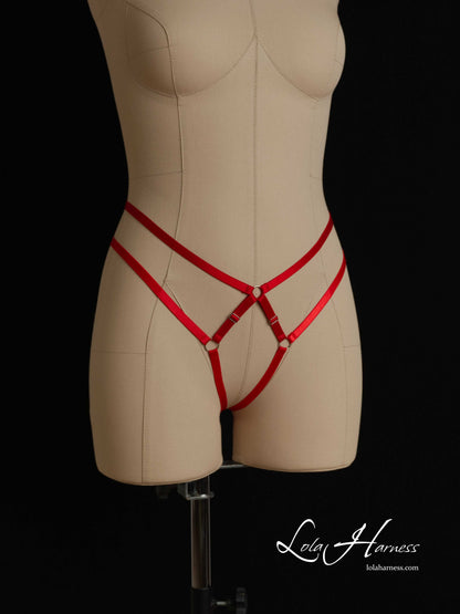The Lexa harness panties